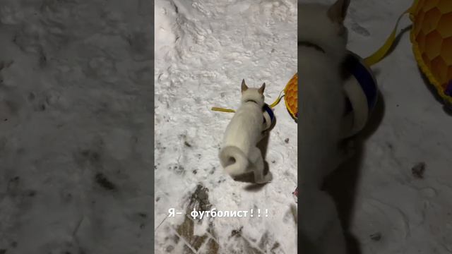 Вот так игра! смотреть онлайн