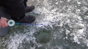 За ЛУЧШЕЙ РЫБОЙ. ЕЩЁ И С ИКРОЙ!