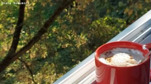 Осенний влог, последние солнечные дни