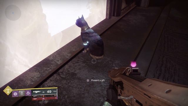 Destiny 2 odd cat смотреть онлайн