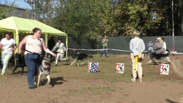Сравнение на ЛК смотреть онлайн