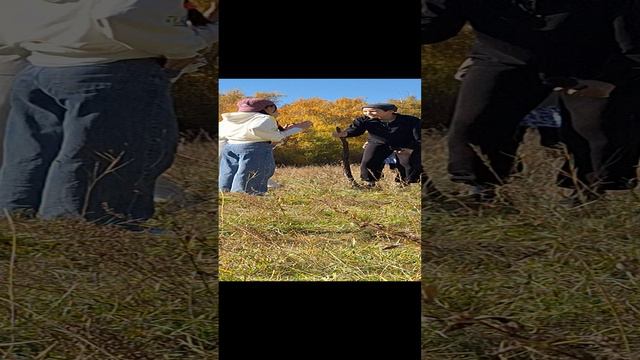 Сценка на год семьи смотреть онлайн