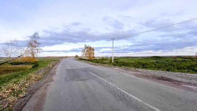 9920880 смотреть онлайн