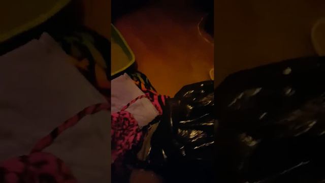 Crazy pussy смотреть онлайн