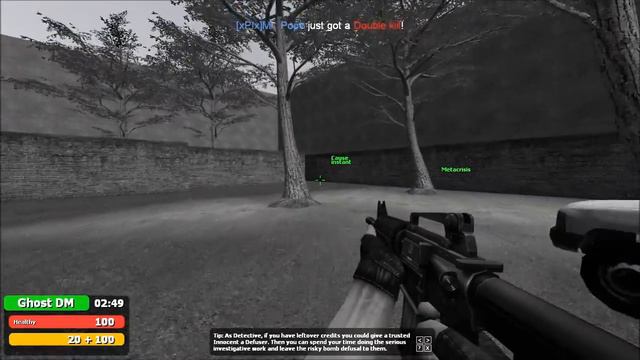 Random Server Fun - [#16] Trouble in Terrorist Town (with some friends!) смотреть онлайн