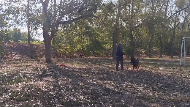 3.  выражено/перв ЛЕРУА МАДЛЕН МАЙБАХ (Леруа Мадлен Максимус – Whitebrant Genera)