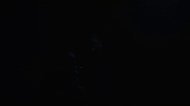 LES YEUX DE SOULAGES - LEON смотреть онлайн
