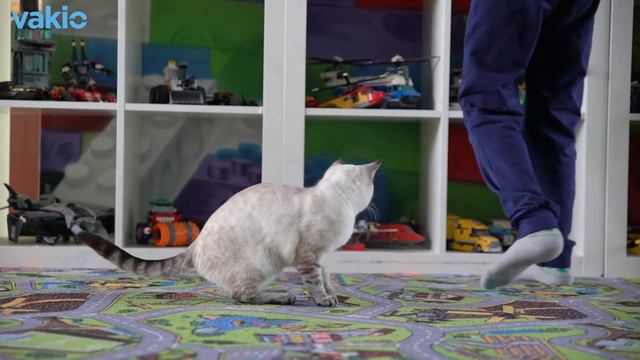 Отзыв о Vakio в частном доме смотреть онлайн