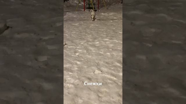 Интересная игра-снежки! смотреть онлайн