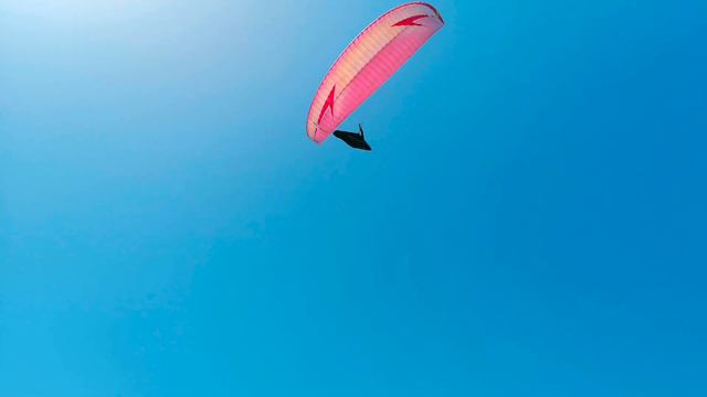 Sports and life. Everyone chooses their own destiny. Live brighter than yesterday смотреть онлайн