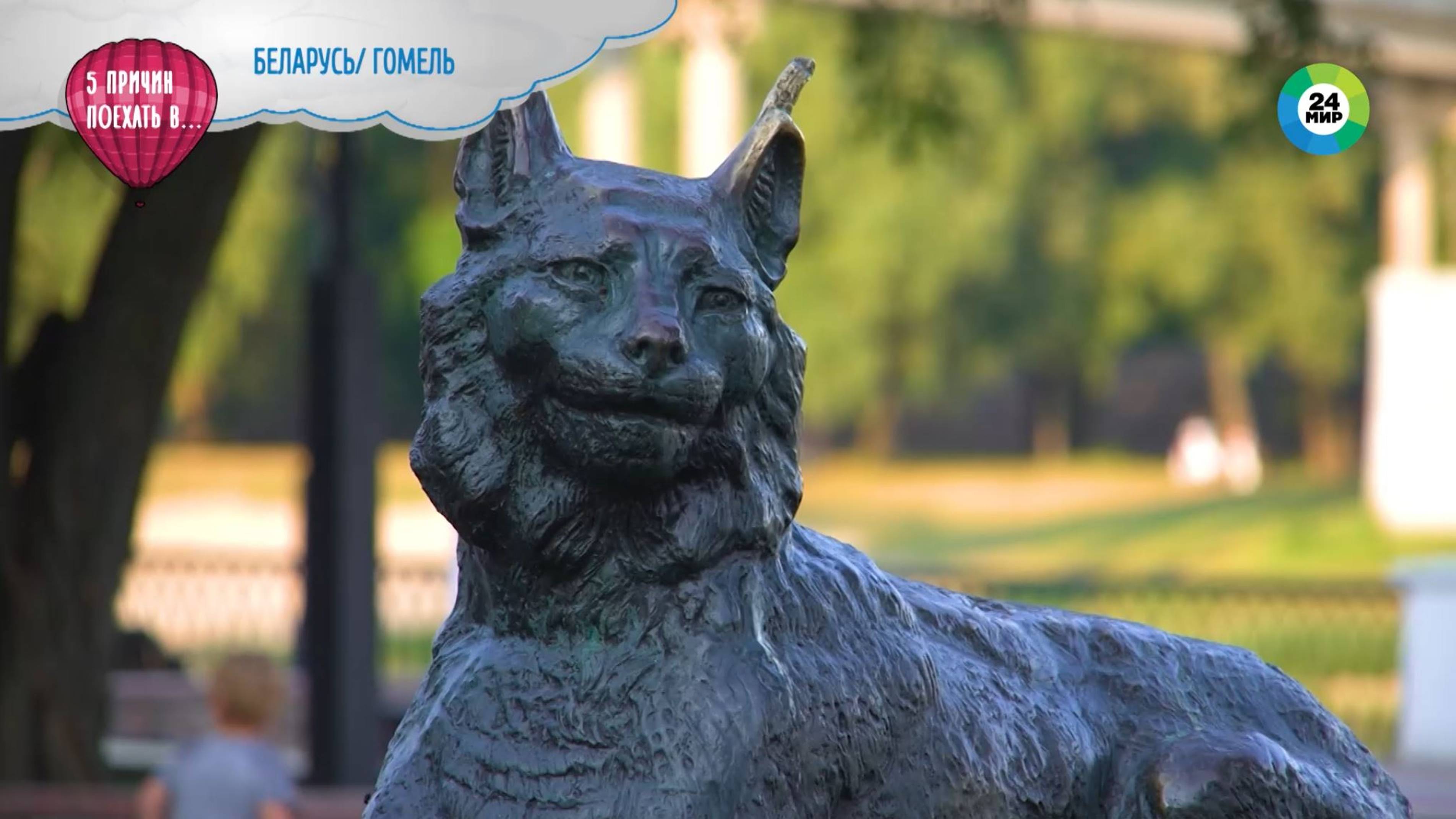 Пять причин поехать в Гомель #гомель #беларусь #сож смотреть онлайн