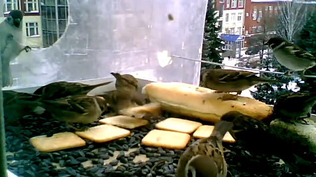 12 56 00 смотреть онлайн