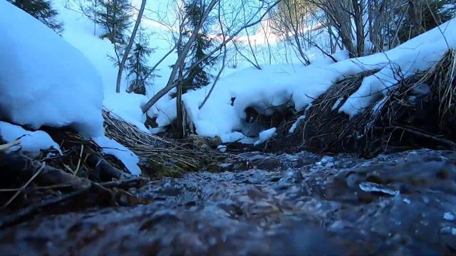 Удмуртские ключи, 19.03.2022 смотреть онлайн