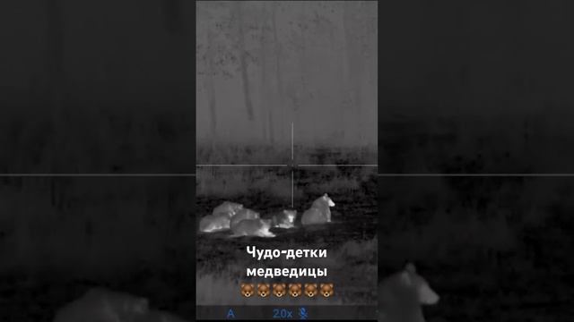 Счастливая мама!!! смотреть онлайн