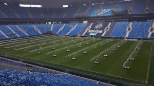 Выход на поле Газпром Арены