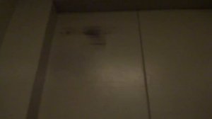 Пассажирский лифт (г. Обнинск), V=1 м-с, г-п 400 кг