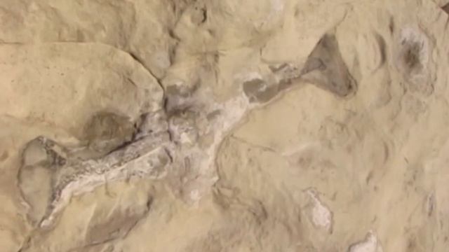 Динозавры и люди жили в одно время. смотреть онлайн