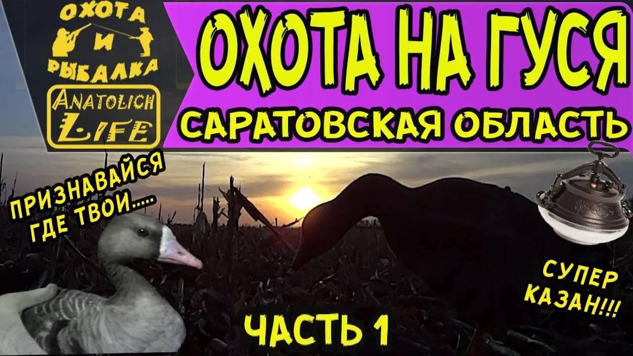 Охота на гуся (часть 1) Саратовская область смотреть онлайн