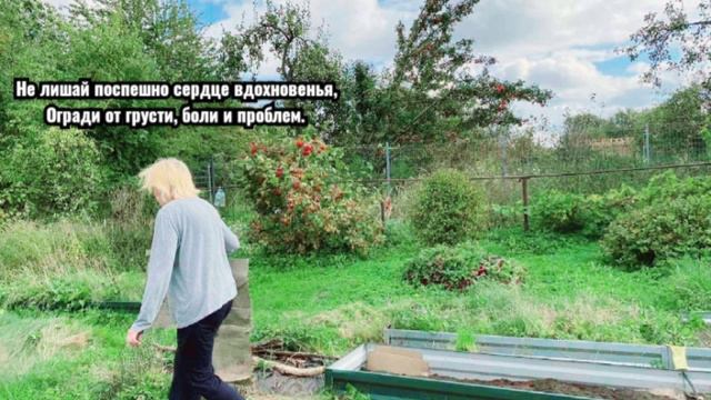 Завершение сентября 2024 в "Бризе" смотреть онлайн