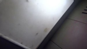 Пассажирский лифт (г. Обнинск), V=1 м-с, г-п 400 кг (4)