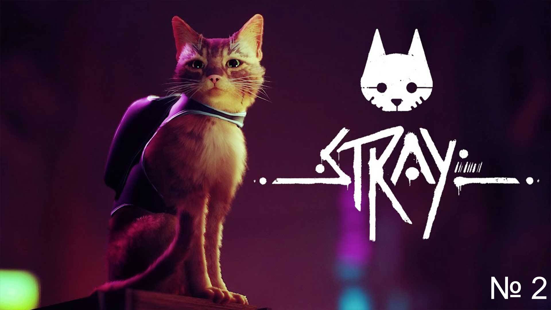 Stray , часть 2