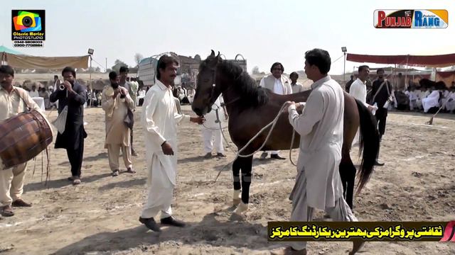 Anokhaladal ll Hiyat Jouta ll Sultan ll Khuda Baksh Bharwana ll Amazing Horse Dance ll Dhoi Muhamm смотреть онлайн