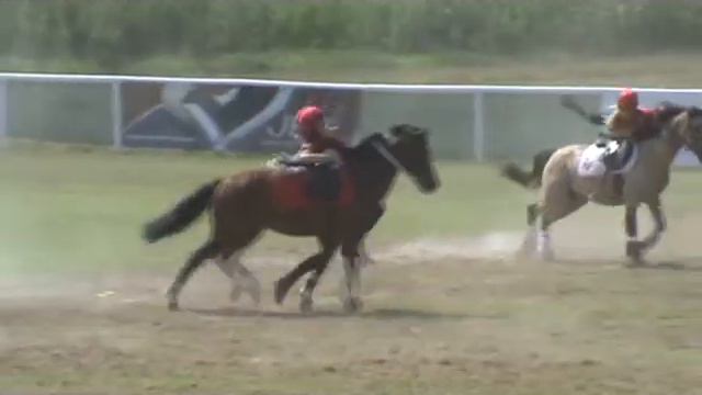 mounted games- Emma&LaPaloma, EM12 смотреть онлайн