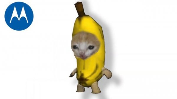 Banana Cat crying but famous phone ringtones (2)