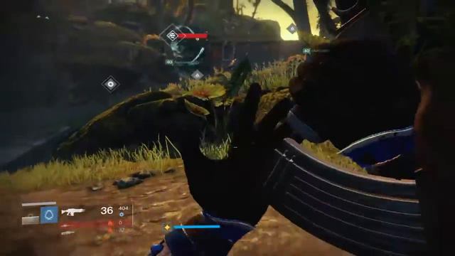 Destiny live steam(Rise of iron) смотреть онлайн