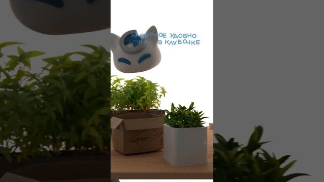 Nyan.mp3 - Ты такой котёнок. Скоро! #nyanmp3 #ты такой котёнок