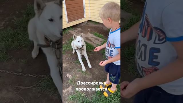 Тингай 2021г смотреть онлайн