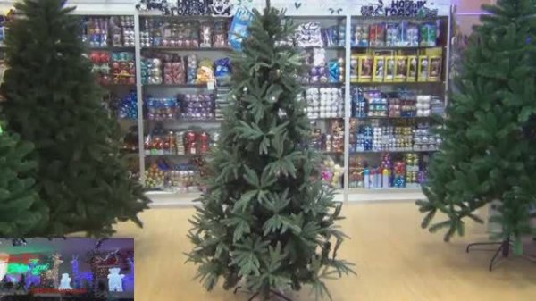 Green Trees Ель Fierro Premium, видеообзор