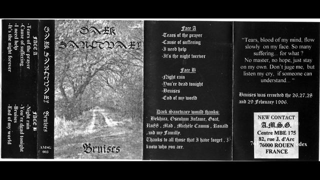 Dark Sanctuary - Bruises (1996) (Darkwave, Dark Ambient) смотреть онлайн