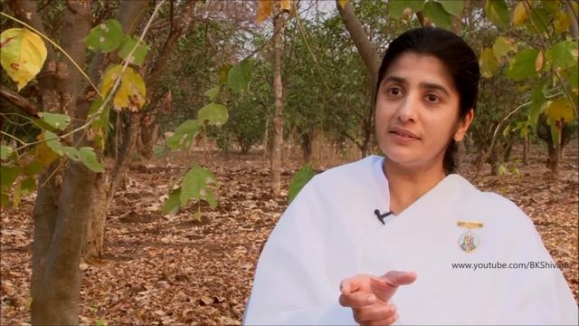 Think Right To Change Destiny: Ep 32: Subtitles English: BK Shivani смотреть онлайн