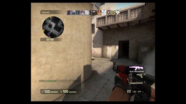 CS : GO ace reaction clip смотреть онлайн