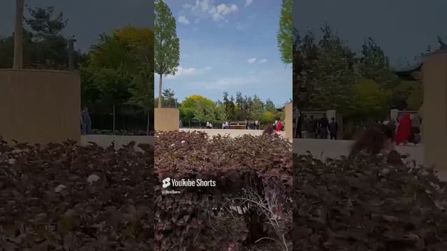 САМОЕ КРАСИВОЕ МЕСТО В РОСИИ сделанное человеком , которое находится не в Москве !!! #shorts смотреть онлайн