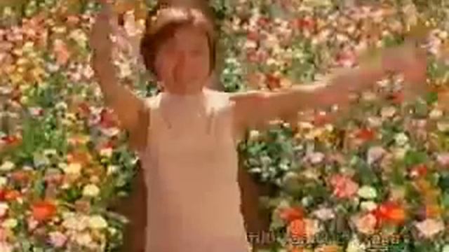 Petitmoni - Baby knock out смотреть онлайн