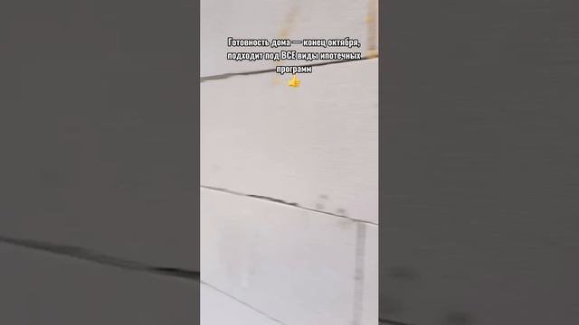 Петрвский дом