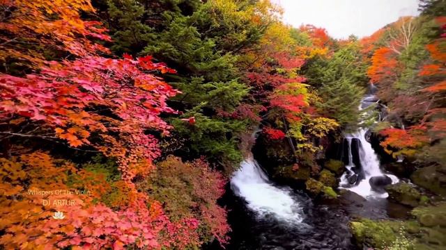 Шепот скрипки смотреть онлайн
