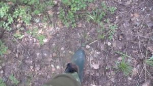 Пошли с пацанами ПО ГРИБЫ В ЛЕС! Вот ЭТИ они то ГРИБЫ нам НЕ ДАЮТ СКУЧАТЬ!