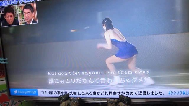 荒川静香　ＨＥＲＯ　（日本を元気にプログラム）手撮り低画像 смотреть онлайн
