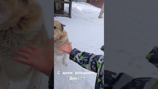 Поздравление Дика старшего! смотреть онлайн