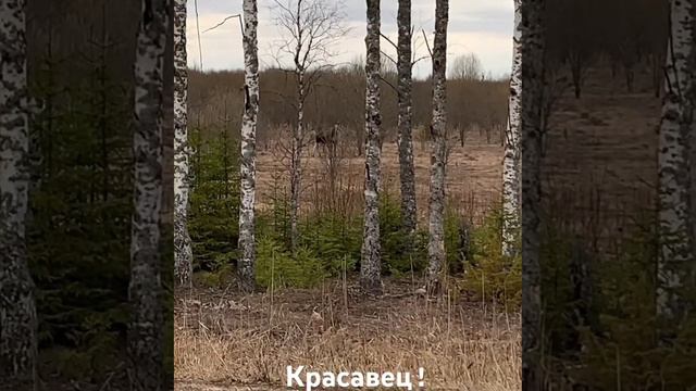 Не могли проехать и не остановиться!!! смотреть онлайн