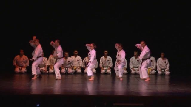 First Russian Festival Of Okinawa Martial Arts. PART-2