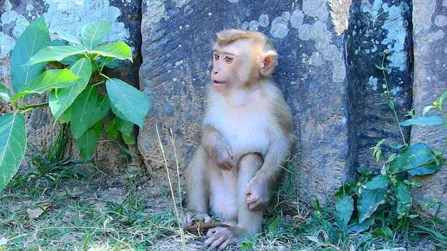 Savana shocked Torres and Roman and Rolex helping but baby can’t followers смотреть онлайн