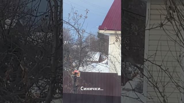 Скоро весна!!! смотреть онлайн