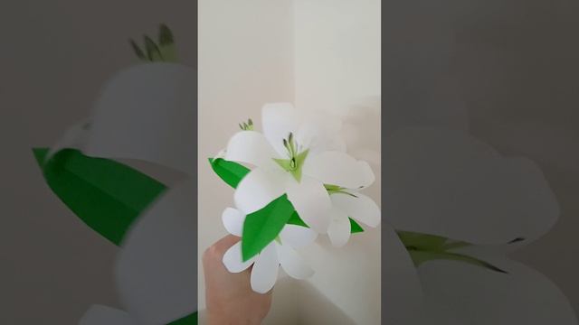 Бумажные лилии смотреть онлайн