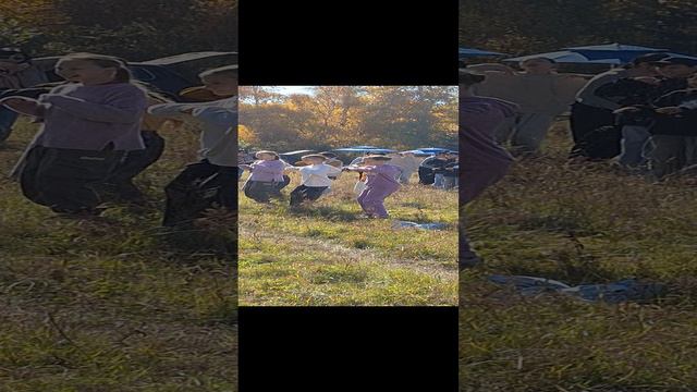 Зарядка флешмоб для детей смотреть онлайн