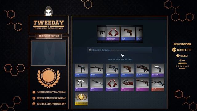 CS:GO - 1000+ Case Opening - Part 16 (Livestream Record) смотреть онлайн