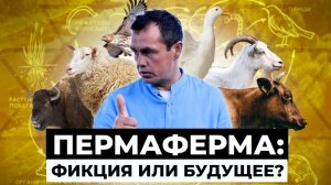 Как живет фермер-кочевник?  Чудо-ферма Ринальдо Маллямова